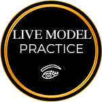 Live Model Practie